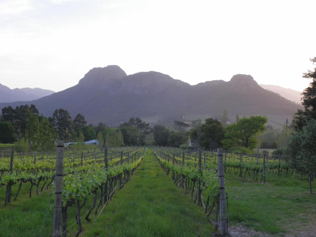 Franschhoek Rose Cottages Dış mekan fotoğraf